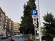 Strage di multe in viale Matteotti a Imperia, segnaletica nel mirino Strage di multe in viale Matteotti a Imperia, segnaletica nel mirino