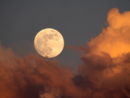 Imperia, è in arrivo la prima Superluna dell’anno Imperia, è in arrivo la prima Superluna dell’anno