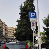 Strage di multe in viale Matteotti a Imperia, segnaletica nel mirino Strage di multe in viale Matteotti a Imperia, segnaletica nel mirino