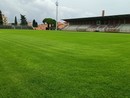 Calcio, Serie D. L’Imperia torna a casa, di nuovo al 'Nino Ciccione' per le gare casalinghe
