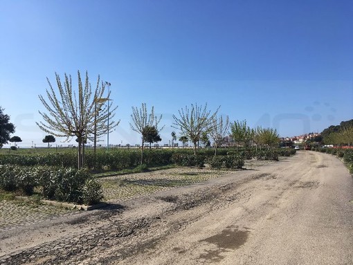 Imperia: molte richieste di fare attività fisica nei parchi cittadini, l'Assessore Vassallo "A tutti rispondo di si" Imperia: molte richieste di fare attività fisica nei parchi cittadini, l'Assessore Vassallo "A tutti rispondo di si"