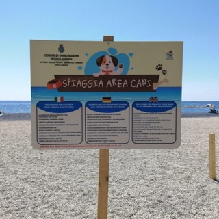 Diano Marina: esiste una spiaggia per cani, la precisazione del Comune Diano Marina: esiste una spiaggia per cani, la precisazione del Comune