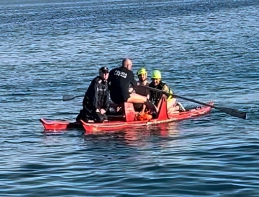 Diano Marina, cucciolo di capriolo rischia di annegare: salvato da polizia locale e volontari in pedalò (foto)