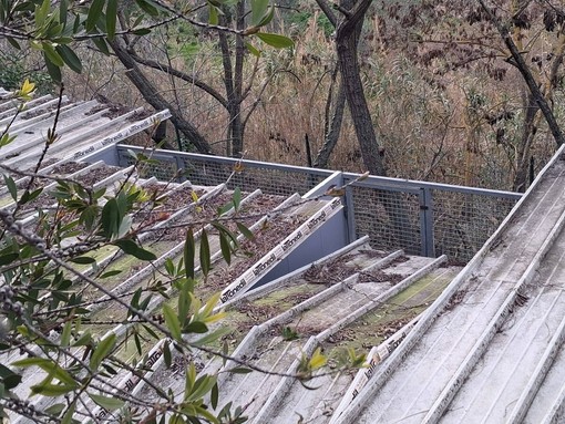 BUONE NOTIZIE/Obiettivo raggiunto per il rifugio La Cuccia: raccolti i fondi per ricostruire le tettoie BUONE NOTIZIE/Obiettivo raggiunto per il rifugio La Cuccia: raccolti i fondi per ricostruire le tettoie