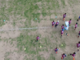 Minirugby, Imperia protagonista nel weekend con il tradizionale Torneo Pino Valle