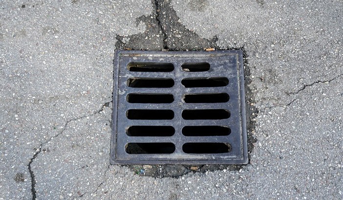 ACCADDE OGGI, 27 DICEMBRE 1998. Tratti miracolosamente in salvo due cagnolini “gettati” nel tombino