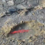Continua la maledizione del tubo rotto: strada Ciosa di nuovo senz’acqua