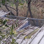BUONE NOTIZIE/Obiettivo raggiunto per il rifugio La Cuccia: raccolti i fondi per ricostruire le tettoie BUONE NOTIZIE/Obiettivo raggiunto per il rifugio La Cuccia: raccolti i fondi per ricostruire le tettoie