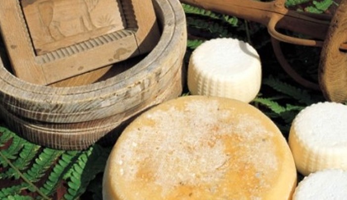 Allarme per la toma di Mendatica, chiude l'ultimo caseificio