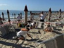 Il nido della tartaruga a Imperia diventa virale Il nido della tartaruga a Imperia diventa virale