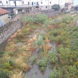 Imperia: 149mila euro per la pulizia dei torrenti, obiettivo risultati pluriennali, giovedì l'assegnazione Imperia: 149mila euro per la pulizia dei torrenti, obiettivo risultati pluriennali, giovedì l'assegnazione