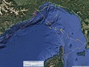 La tartaruga Thalassa soccorsa a Imperia “spiata” in mare dai biologi del Cima