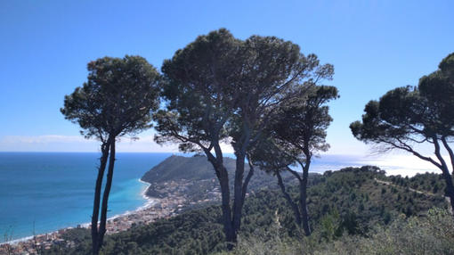 Da Colla Micheri a Poggio Brea, un trekking sulle tracce dell'esploratore norvegese Thor Heyerdahl Da Colla Micheri a Poggio Brea, un trekking sulle tracce dell'esploratore norvegese Thor Heyerdahl