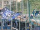 (Foto Flammia)