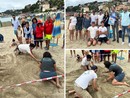 Una tartaruga marina ha deposto delle uova ad Arma di Taggia, è il primo caso nella Riviera di Ponente (Foto)