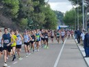 Imperia di corsa, torna il Campionato Regionale Master 5 km su strada Imperia di corsa, torna il Campionato Regionale Master 5 km su strada