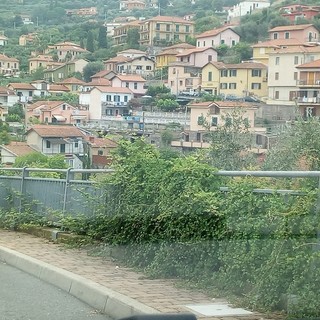 Imperia: operazioni di sfalcio in via Don Minzoni, ma il marciapiede è ancora ostruito (Foto)