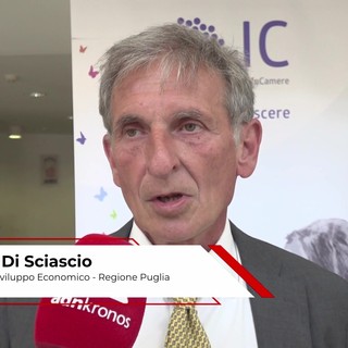 Di Sciascio (Ass. Regione Puglia): "I dati sono cruciali per decisioni consapevoli, fondamentale il contributo di InfoCamere "