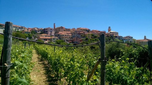 Agricoltura  al via bandi regionali per un valore di 5,85 milioni di euro