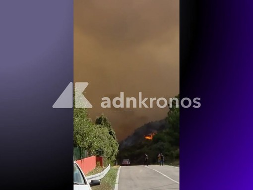 Incendi in Sardegna, notte di fuoco ad Arzana: dall'alba in volo due Canadair