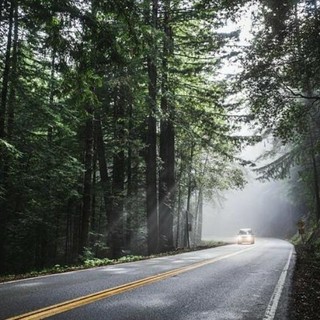 Cosa fare in caso di incidente durante un viaggio