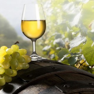 A San Lorenzo c‘è “Vini d’Amare”, quando il Pigato si sposa con il Rossese, il Vermentino e l’Ormeasco