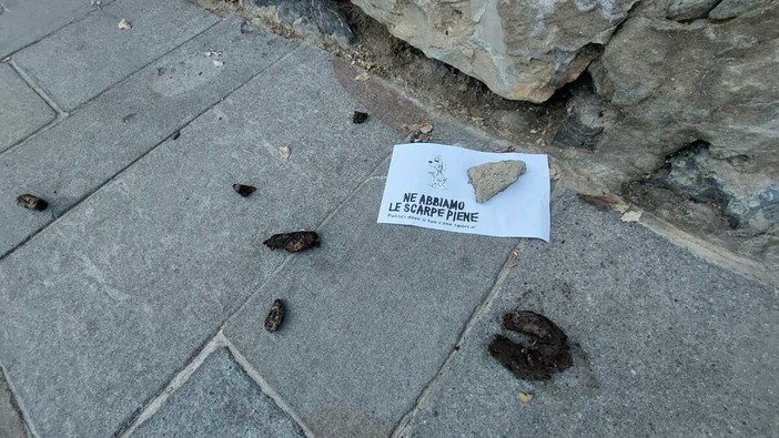 “Ne abbiamo le scarpe piene": lungo la passeggiata degli Innamorati una rivoluzione pacifica contro i proprietari incivili di cani