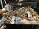 Vessalico, in cinque anni investimenti importanti sulla promozione dell’aglio