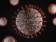 Alle origini dei virus: come sono nati e quando sono stati scoperti