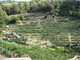 Agricoltura in Regione: Piana “Nuove autorizzazioni per gli impianti dei vigneti in Liguria”