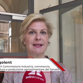 Economia: Fregolent (IV), 'migliorare burocrazia, energia, giustizia e trasporti per attrarre investimenti' Economia: Fregolent (IV), 'migliorare burocrazia, energia, giustizia e trasporti per attrarre investimenti'