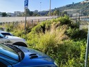 Degrado, erbacce e rifiuti: la stazione di Imperia sul lato Argine Sinistro nell’oblio (video)