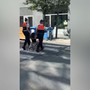 Bruxelles, il video dell'europarlamentare Scuderi trascinata dalla polizia: "Ero vicino sit-in neonazista"