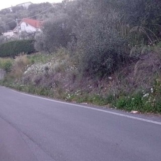 Curva pericolosa in via Moltedo a Porto Maurizio: l’appello di un residente all’Amministrazione