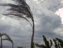 Meteo, avviso per vento forte, previste raffiche fino a 100 km/h Meteo, avviso per vento forte, previste raffiche fino a 100 km/h