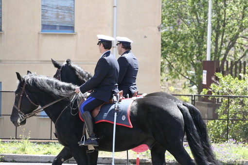 Imperia, il Pd critico sull'idea dei vigili urbani a cavallo: "Era meglio migliorare gli asfalti, la spazzatura e frazioni" Imperia, il Pd critico sull'idea dei vigili urbani a cavallo: "Era meglio migliorare gli asfalti, la spazzatura e frazioni"