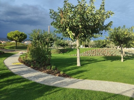 Il Comune di Imperia per i prossimi due anni spenderà 377 mila euro per la manutenzione del verde pubblico