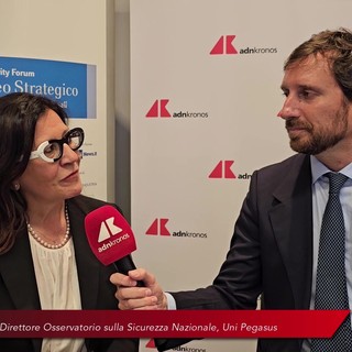 Trenta: "Serve una strategia di sicurezza mediterranea" Trenta: "Serve una strategia di sicurezza mediterranea"