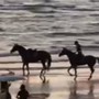 Paura per Belen Rodriguez, rovinosa caduta da cavallo sulla spiaggia Paura per Belen Rodriguez, rovinosa caduta da cavallo sulla spiaggia