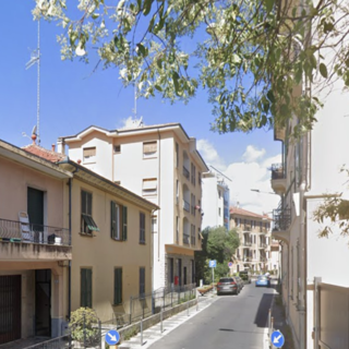 Strage di animali sulle strade di Imperia, dopo via Nazionale auto travolge un gatto in via Artallo Strage di animali sulle strade di Imperia, dopo via Nazionale auto travolge un gatto in via Artallo