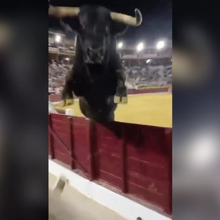 Paura in Spagna, toro scavalca recinzione durante la corrida
