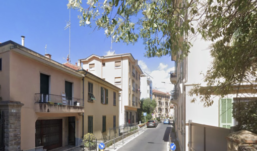 Strage di animali sulle strade di Imperia, dopo via Nazionale auto travolge un gatto in via Artallo Strage di animali sulle strade di Imperia, dopo via Nazionale auto travolge un gatto in via Artallo