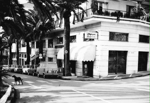 L’AMARCORD DEL SABATO. Gennaio 1989: “Via i cani dal centro città,  sporcano troppo”