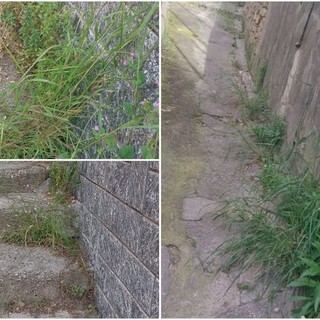 Sporcizia ed erbacce alte in via Cesare Battisti, la denuncia arriva sui social