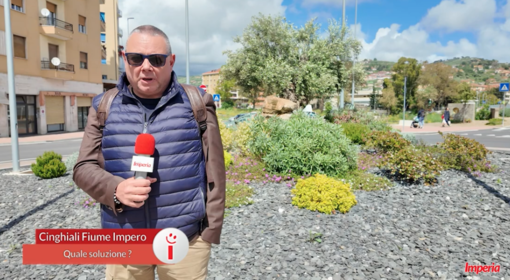 Vox populi. Emergenza cinghiali a Borgo San Moro, è giusto abbatterli? (video)