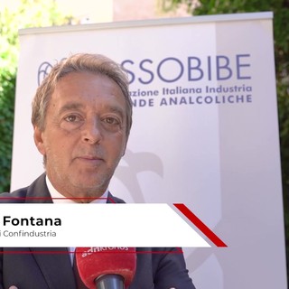Alessandro Fontana, direttore Centro studi Confindustria