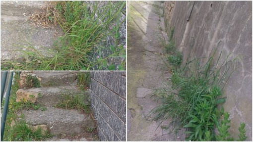 Sporcizia ed erbacce alte in via Cesare Battisti, la denuncia arriva sui social