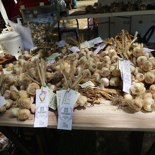 Vessalico, in cinque anni investimenti importanti sulla promozione dell’aglio Vessalico, in cinque anni investimenti importanti sulla promozione dell’aglio