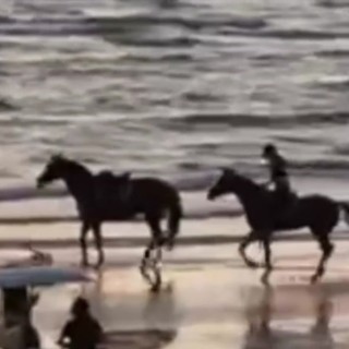 Paura per Belen Rodriguez, rovinosa caduta da cavallo sulla spiaggia Paura per Belen Rodriguez, rovinosa caduta da cavallo sulla spiaggia
