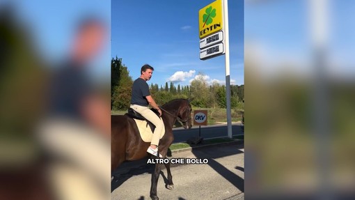 Caro carburanti? Nardella sceglie il cavallo: "Altro che bollo auto"